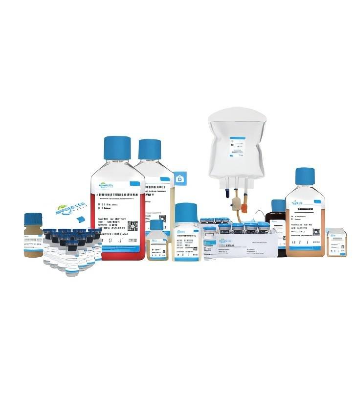 �g���|(zh��)�ɼ���ϵ�Юa(ch��n)Ʒ-����˼