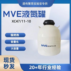 47LҺ���� ����(gu��)MVE��XC47/11-10��