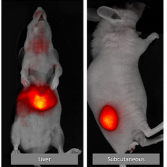 ������w����x