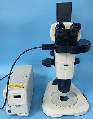 �wʽ�ɹ��@΢�RKSV18