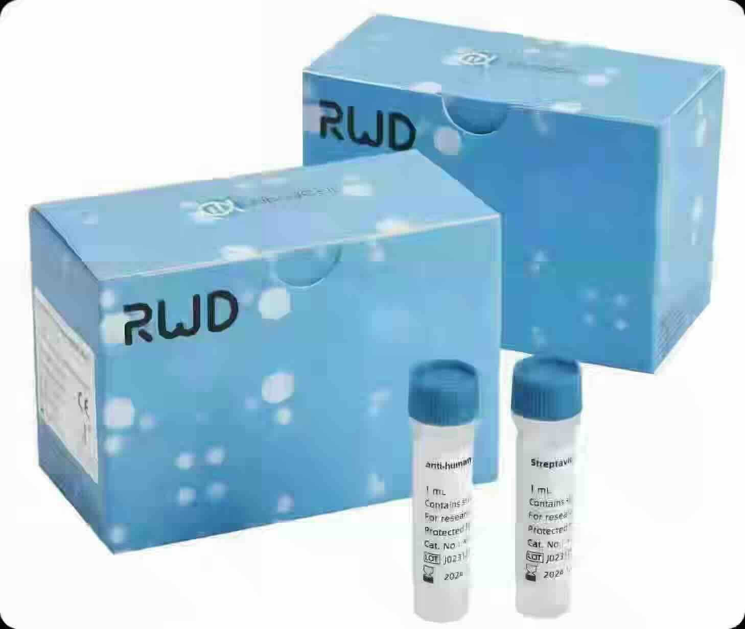 ���ֵ�/RWD �{�״��鼚(x��)�����xԇ����