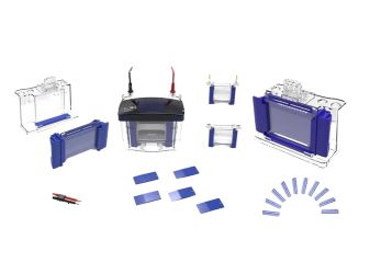 XinPRO���㴹ֱ�Ӿ��