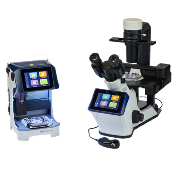 �μ�(x��)����ҕ�����x���B(y��ng)ϵ�y(t��ng)��isoCell