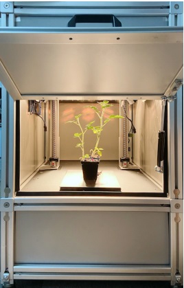 FluorTronֲ���ϱ��ͳ������ϵ�y(t��ng)-��(bi��o)��(zh��n)��