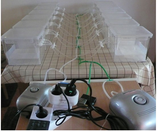 ���Plantformֲ�����B(y��ng)����(y��ng)��