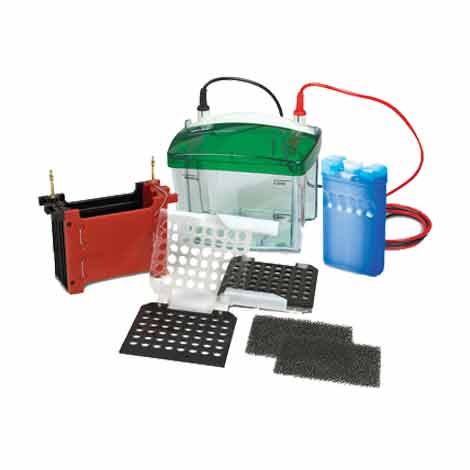 �����D(zhu��n)ӡ�ۣ����D(zhu��n)��