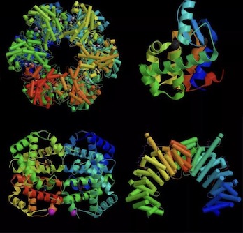 ���׽Y(ji��)�������w�Y(ji��)��(g��u)��������(w��)