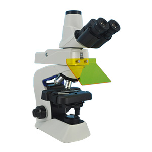 �ɹ������@΢�RMF23-M