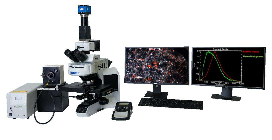 ���﹦���Է��ӱ���ϵ�y(t��ng)