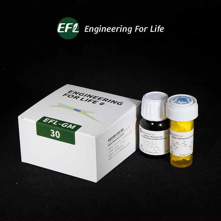 GelMAˮ���z΢��