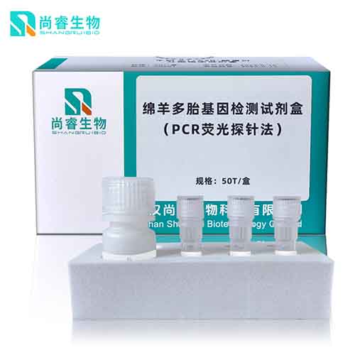 �d���̥����z�yԇ����