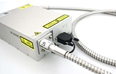 Montfort ���o���{�뼤����