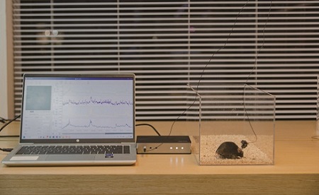 ΢���@΢�Rϵ�y(t��ng)