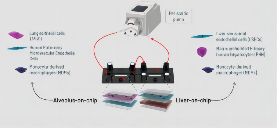 3D�����ٹ����B(y��ng)оƬ