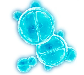 ��(x��)�����әz�yԇ����