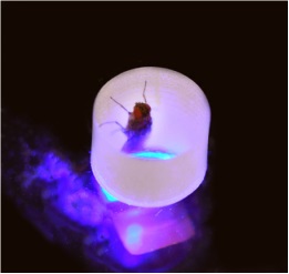 ���x��ͨ���������x�y��ϵ�y(t��ng)