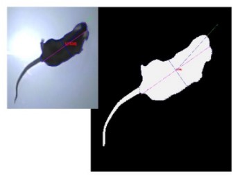 �����̈́����О��R�e����ϵ�y(t��ng)