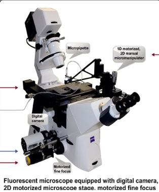 cellsorterȫ�Ԅӆμ������xϵ�y(t��ng)