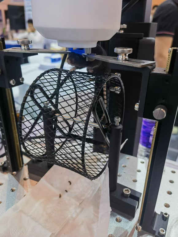 С�����ѻ���^���̶�����b��