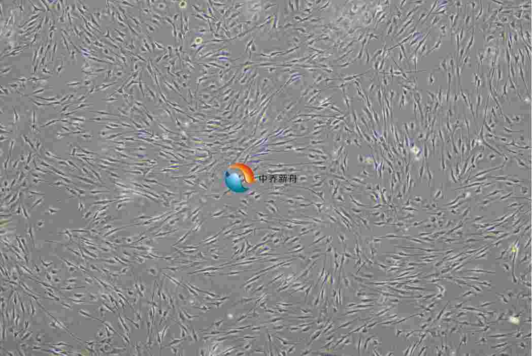 ���}�j(lu��)����Ƥ��(x��)��