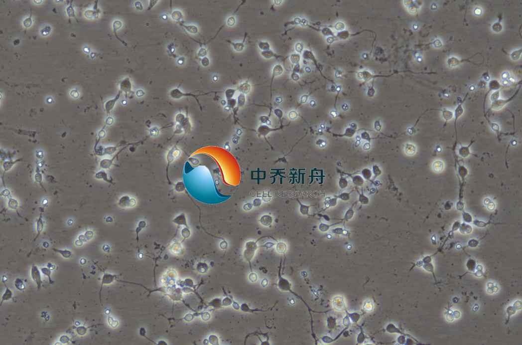 С���R��(j��ng)Ԫ��(x��)��