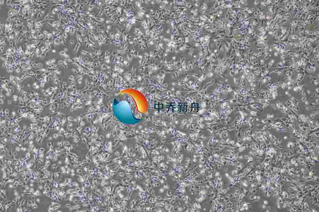 С����ͻ�z�|(zh��)��(x��)��