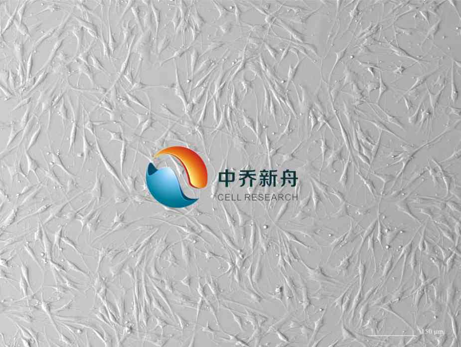 �������z�|(zh��)��(x��)��