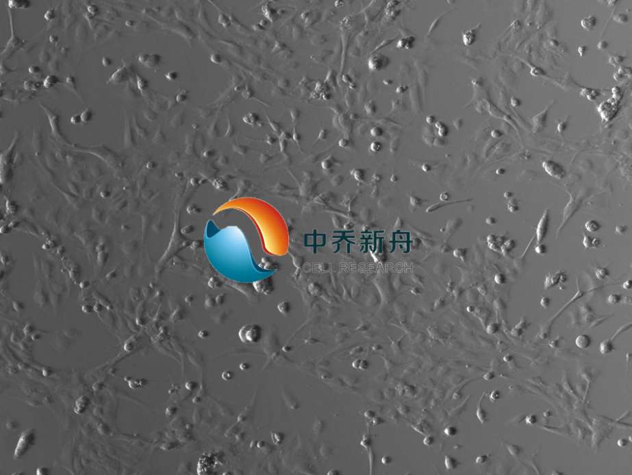 �����X�����z�|(zh��)��(x��)��