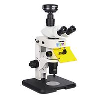 �����wҕ�ɹ��@΢�R MZX81