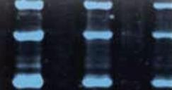 �����|(zh��)ӡ�E��Q����