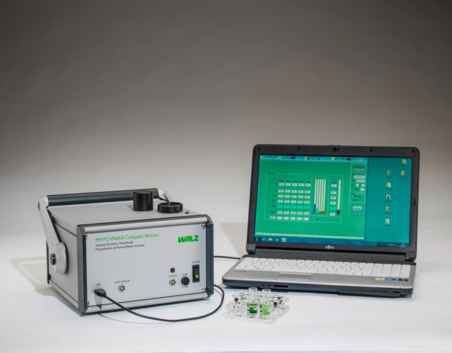 ����ֲ���ɹ�x����PHYTO-PAM-II