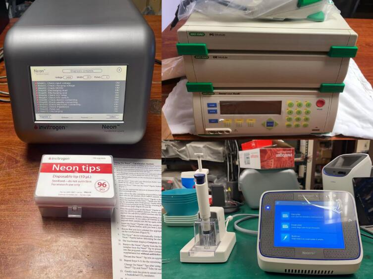 genepulser Xcell neon ��D�x,늴��׃x