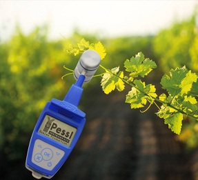 ֲ����&�~�G�؜y���x