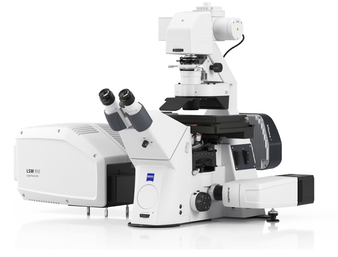 ��˾���⹲�۽��@΢�R LSM 910