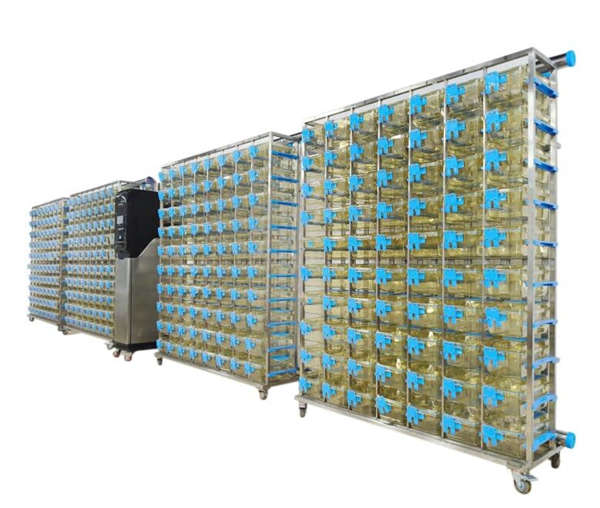 ����IVC��B(y��ng)�\��С��IVC��B(y��ng)�\