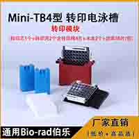 �D(zhu��n)ӡģ�K