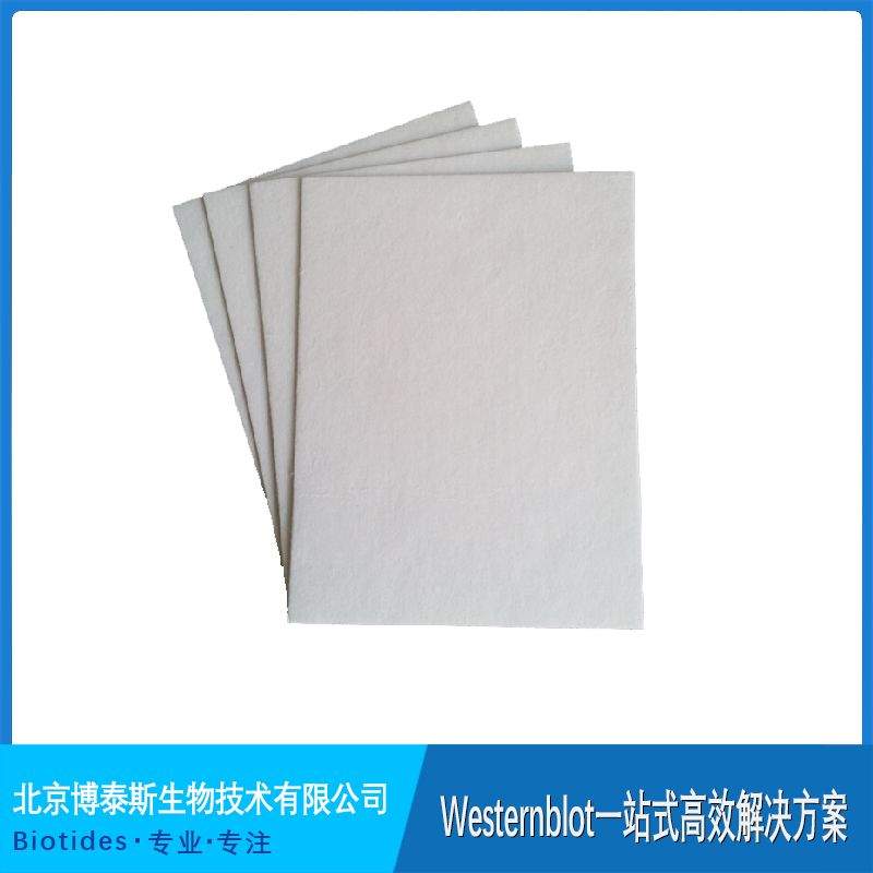 �������D(zhu��n)Ĥ�V�������������(l��)1703932