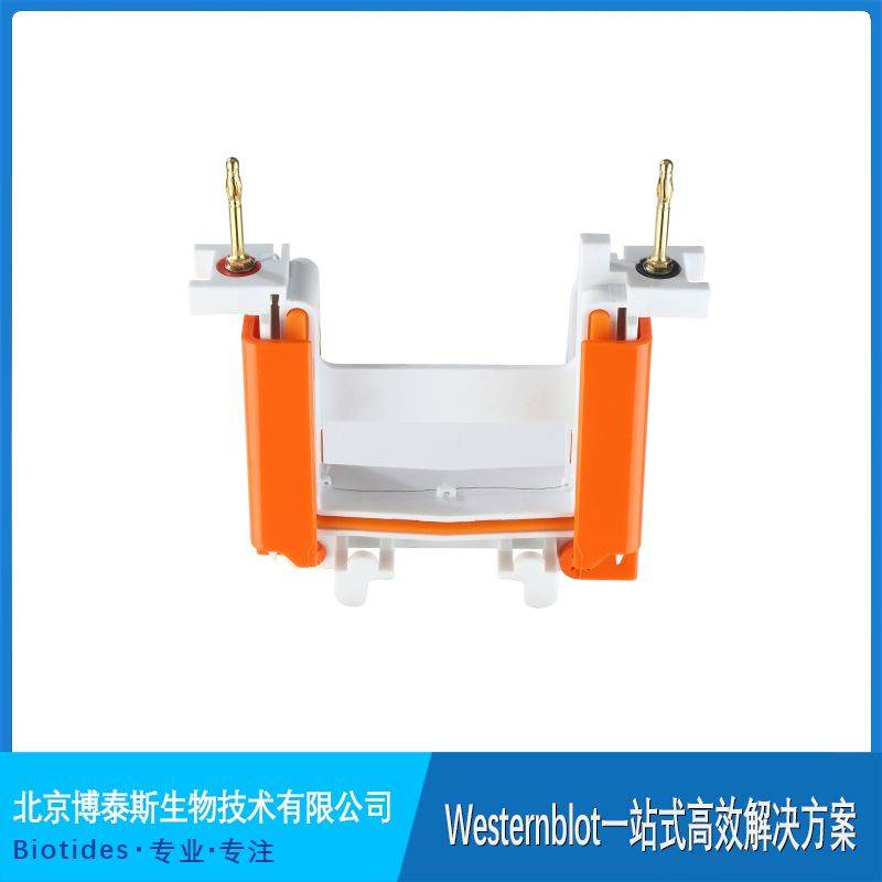 ��̩˹늘O�^�Ӿо �c����1658037ͬ��