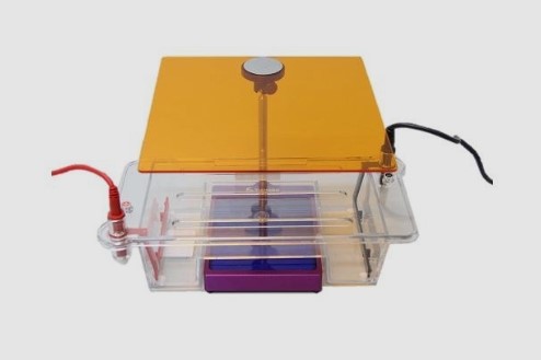 TGreen Monitor plus�{(l��n)���Ӿ�O(ji��n)�y(c��)�x���b