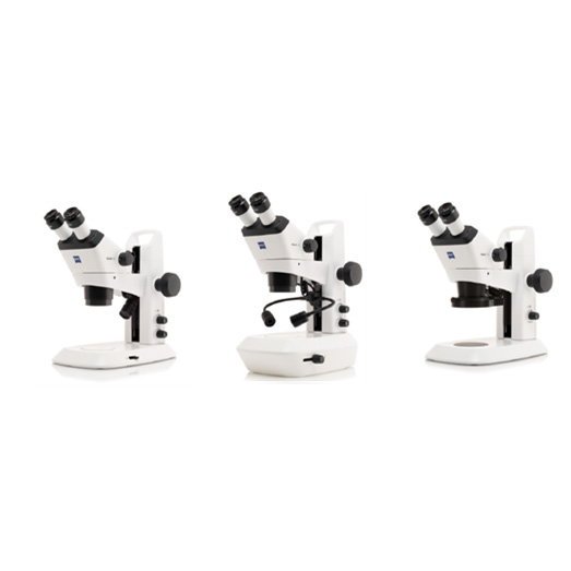 ��˾�wҕ�@΢�RStemi 355