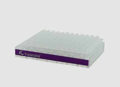 200��L PCR �������