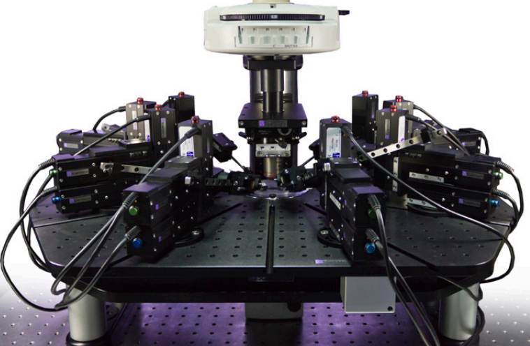 Scientifica MicroStar늄�(d��ng)�@΢������