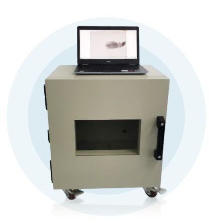 С��X�侀����ϵ�y(t��ng)��С��X�����x