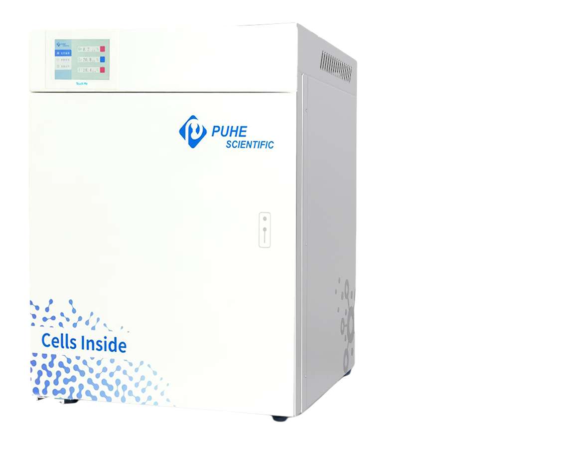 ���⼚�����B(y��ng)�䌍���С�����B(y��ng)��