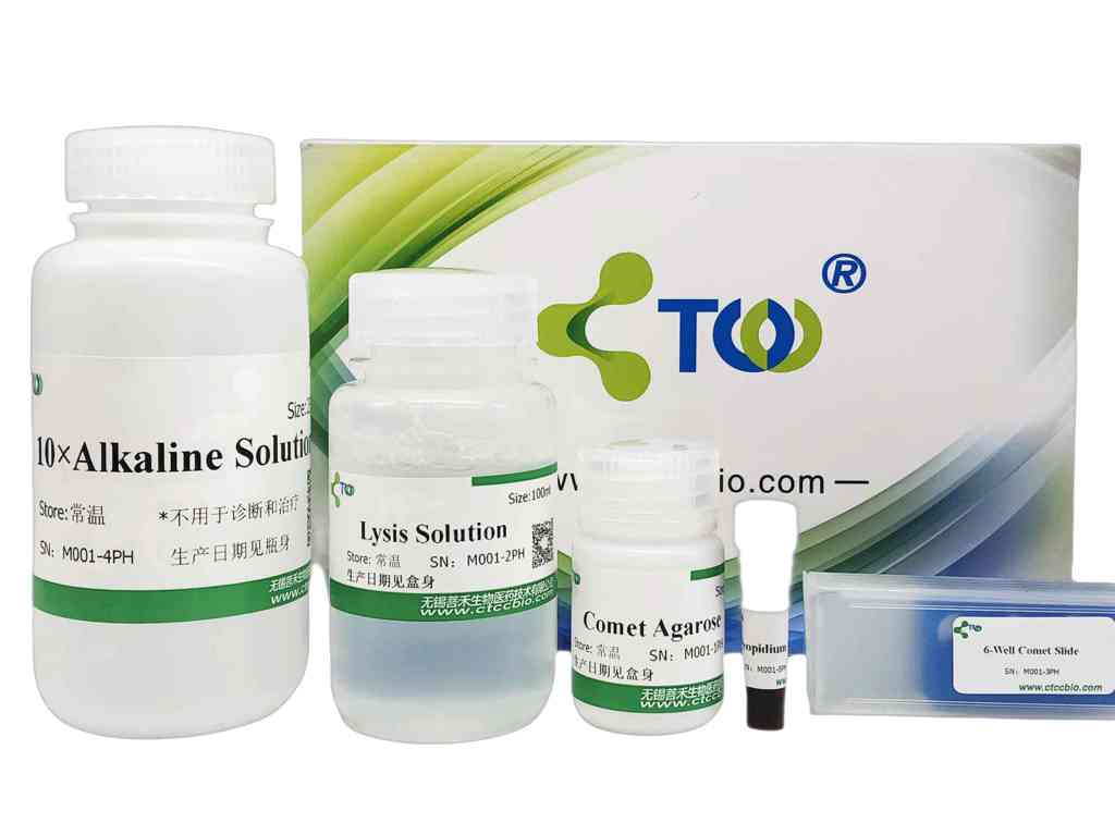 ����ԇ����