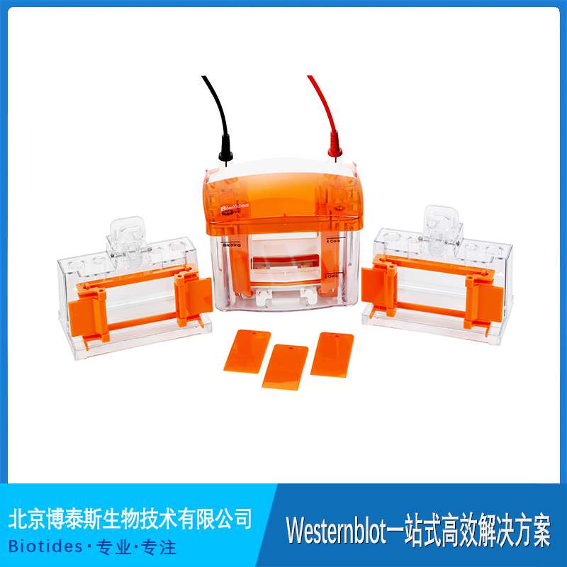 ��̩˹ �Ӿ��  2�K�z��ֱ �c����ͬ��