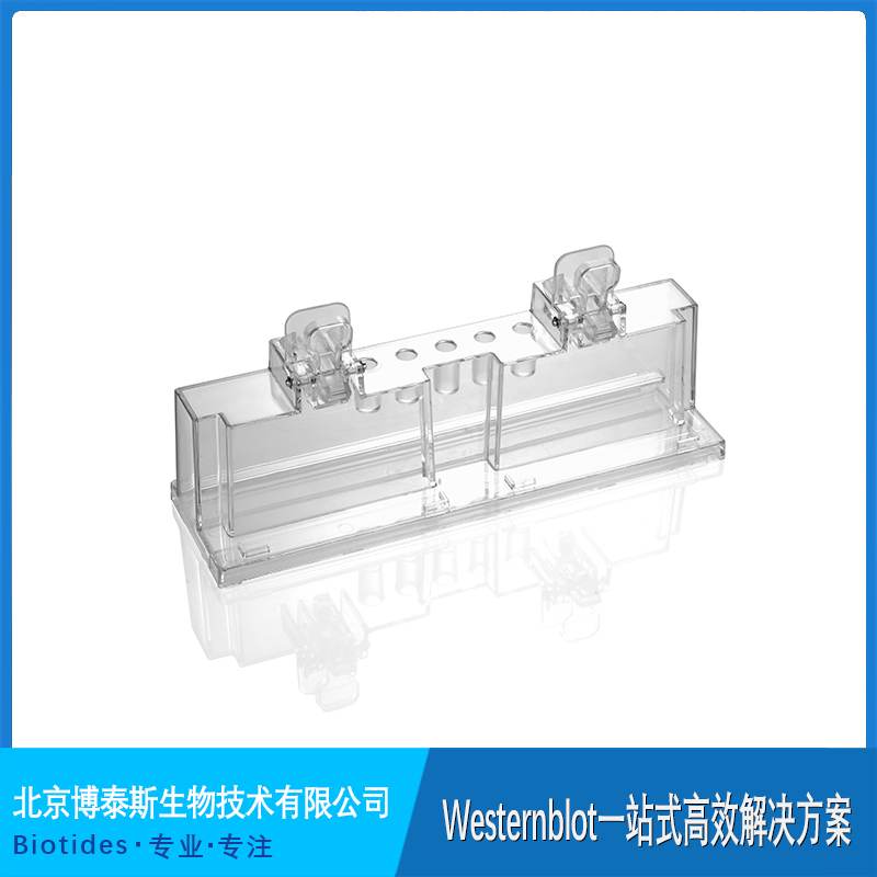 ��̩˹ ��(li��n)���z���� ���z�� �c����ͬ��