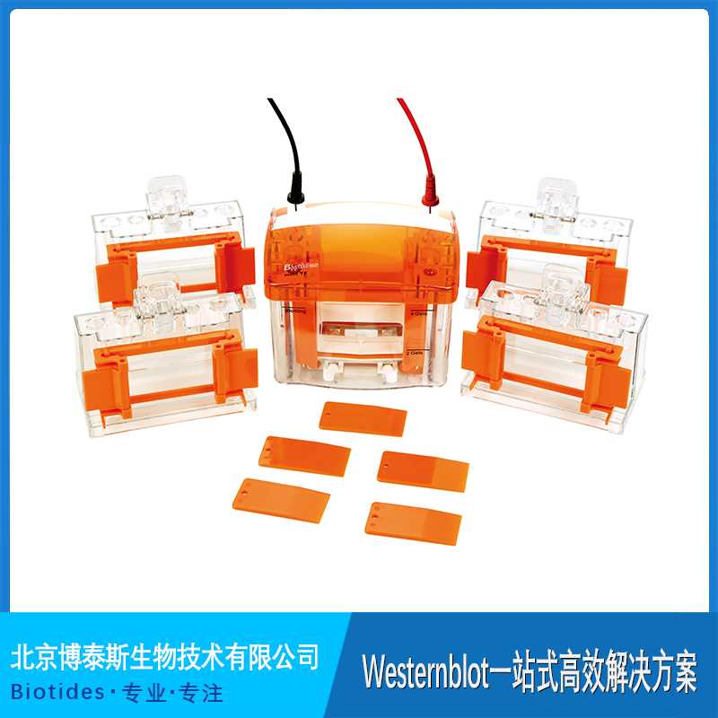 ��̩˹�Ӿ�� 4�K�z �c����ͬ��