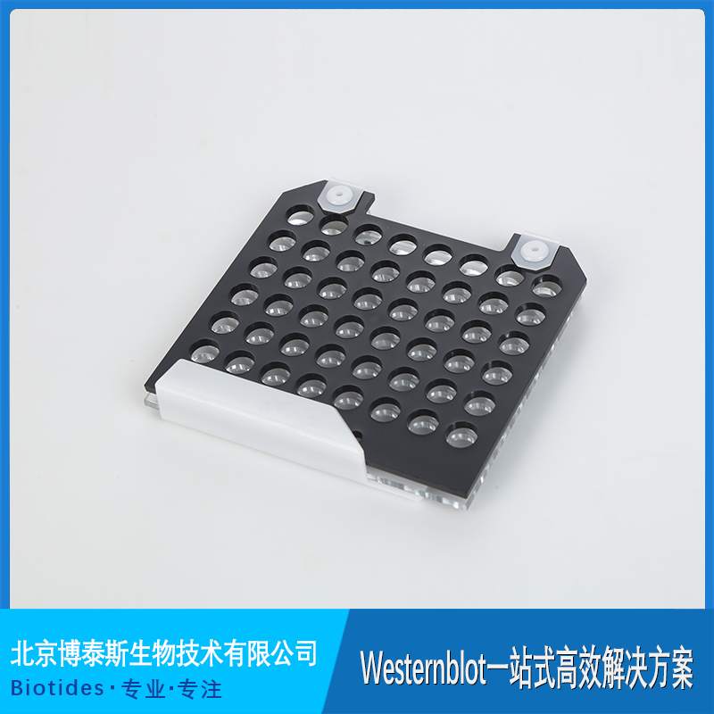 ��̩˹ �D(zhu��n)ӡ�A��  �c����(l��)�D(zhu��n)ӡ�ۼ���