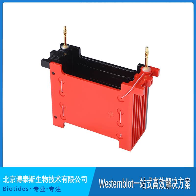 ��̩˹ �D(zhu��n)ӡ�� �c�D(zhu��n)ӡ�A �D(zhu��n)Ĥ�V�� ����